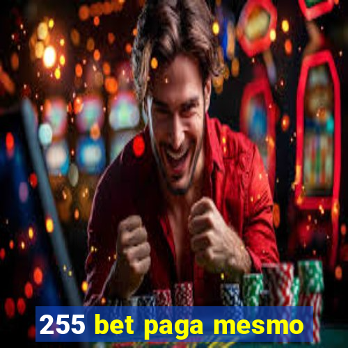 255 bet paga mesmo